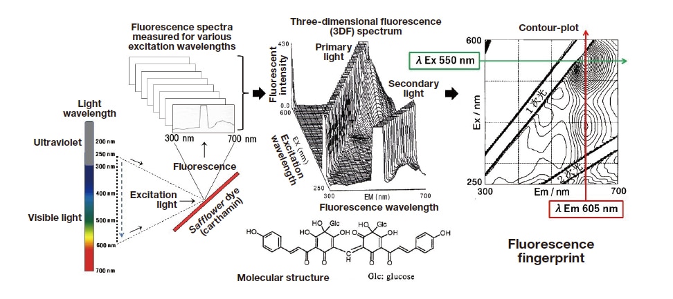Fig. 26 Measured 3DF spectrum for safflower dye (carthamin) and corresponding contour-plot (or fluorescence fingerprint).