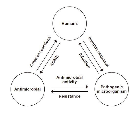 Fig. 1　Relationships between humans, causative pathogenic microorganisms, and antimicrobial agents ADME: Absorption, distribution, metabolism, and excretion
