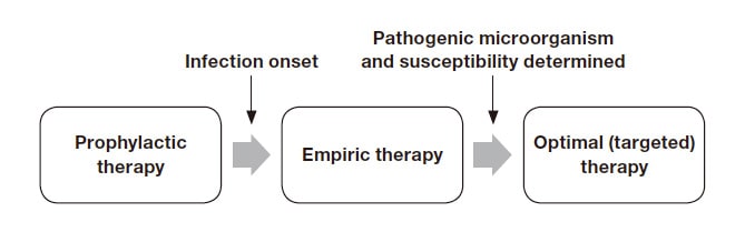 Fig. 2 Designations of antimicrobial therapy