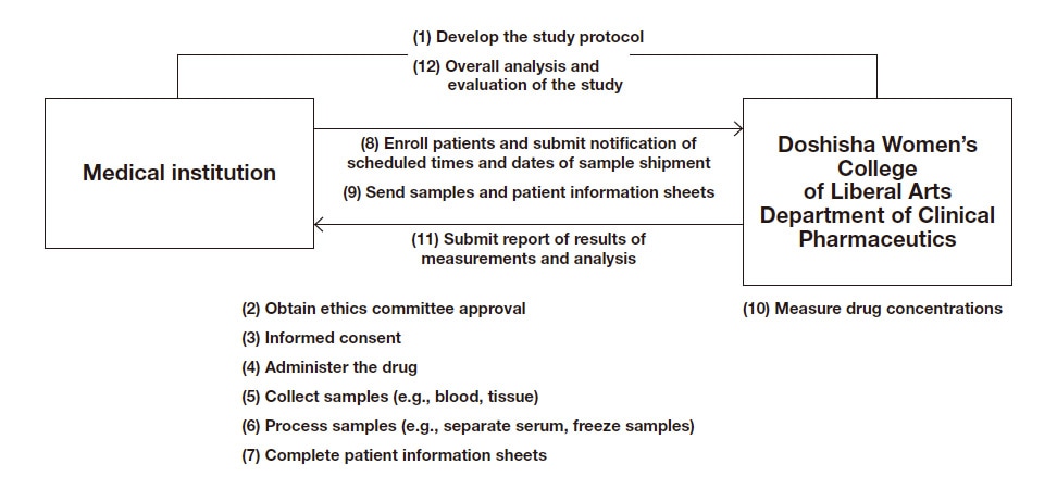 Fig. 1 Flow of a clinical pharmacokinetics study
