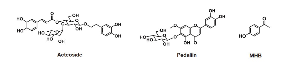 Fig. 1 Chemical structures of acteoside, pedaliin, and MHB