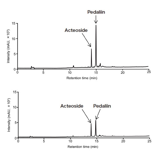 Fig. 5 Typical chromatograms for food product samples containing acteoside and pedaliin Top: Dried young sesame leaf powder (sample 1), Bottom: Green juice powder (sample 1)