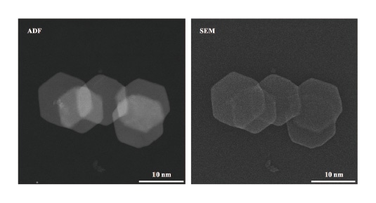 Fig. 8 ADF and SEM image of Fe2O3 nanoplate