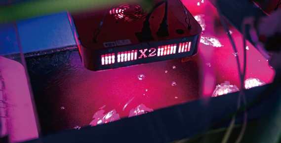 Fig. 5 A culture tank for cultivating microalgae.