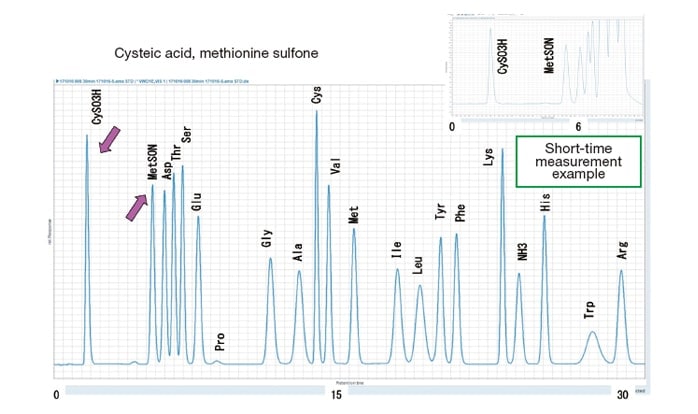 Fig. 5　Performic-acid-oxidized protein hydrolyzate and an example of a short-time analysis