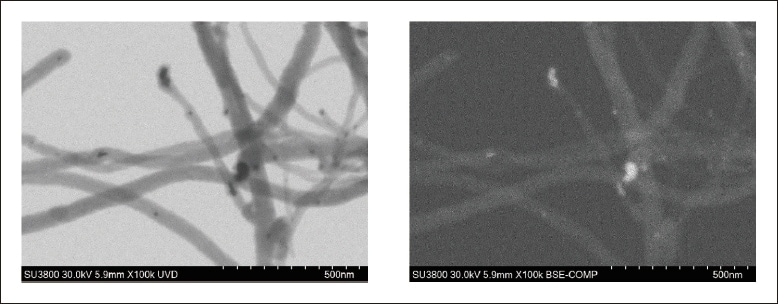 Fig. 5 Observation of carbon nanotubes using the new STEM holder. Left: Bright-field STEM image. Right: Backscattered-electron image.