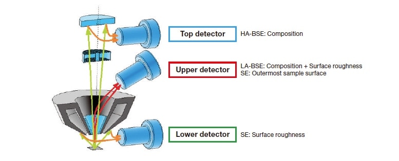 Fig. 1 Detector layout of the Regulus 8200 series of FE-SEM instruments.