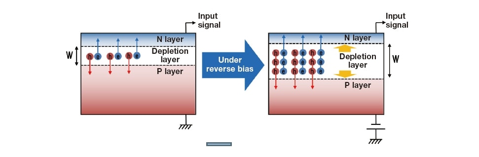 Fig. 3 Schematic depiction of effect of reverse voltage bias applied to PD-BSED element.