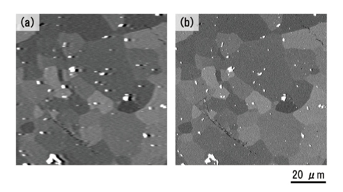 Fig. 4 Comparison of BSE images acquired during in-situ observations using (a) a conventional detector, (b) the PD-BSED detector of the SU7000.