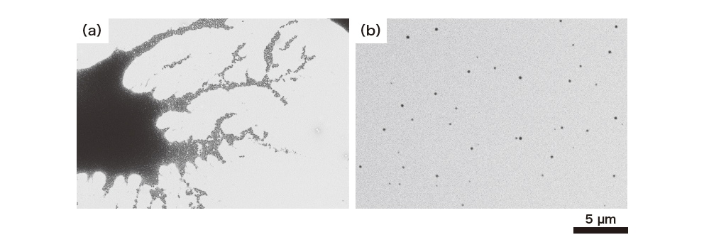 Fig. 6 Results of STEM observation of a slurry (accelerating voltage: 30 kV) [(a) Dripped onto mesh. (b) Using K-kit]