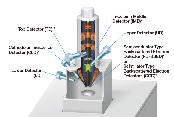 Fig. 4 SU8600: Cross-sectional diagram of column and detector configuration. Asterisks indicate optional detectors.