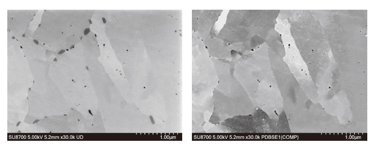 Fig. 7　The SU-8700 detector system allows multiple types of data to be acquired for the same field of view, such as the secondary electron image (left) and backscattered-electron image (right) shown here for a tempered martensite steel specimen. Specimen courtesy of Dr. Shoichi Nambu, The University of Tokyo