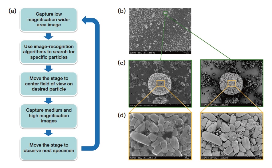 Fig. 2 Automated observation of positive-electrode material for lithium-ion battery.