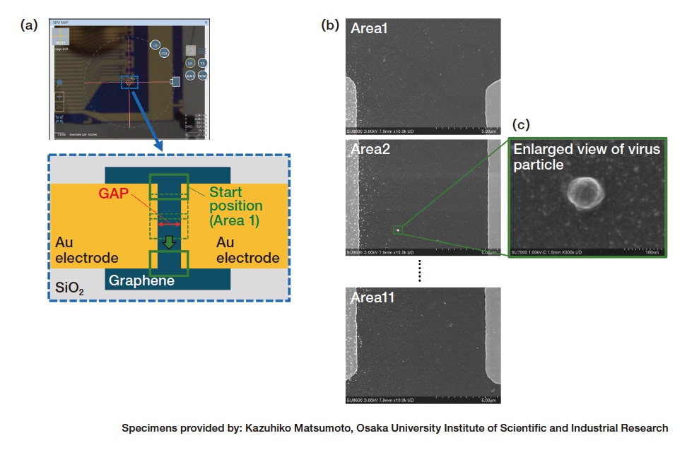 Fig. 5 Automated observation of electrode-gap sensor for virus measurement.