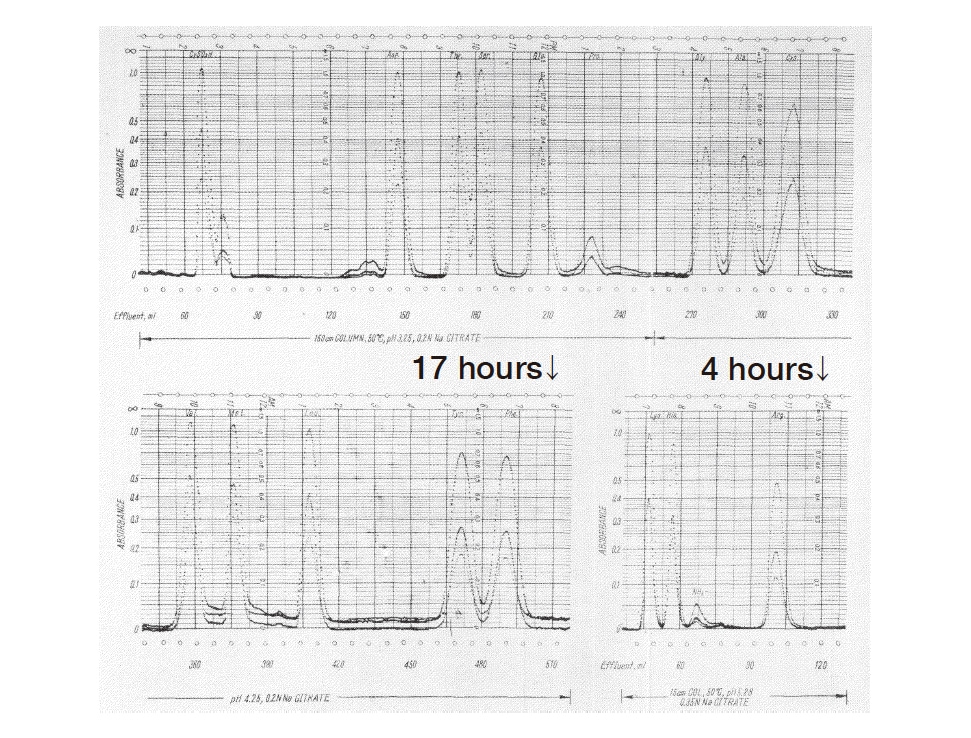Fig. 2 A KLA-2 chromatogram.