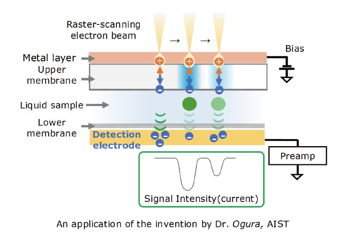 Fig. 2 Operating principle for Vitro detector.