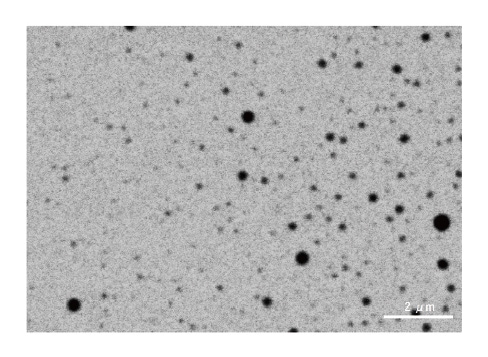 Fig. 4 SEM image of liposomes in liquid. Instrument: SU5000. Accelerating voltage: 3.5 kV. Magnification: 10,000×