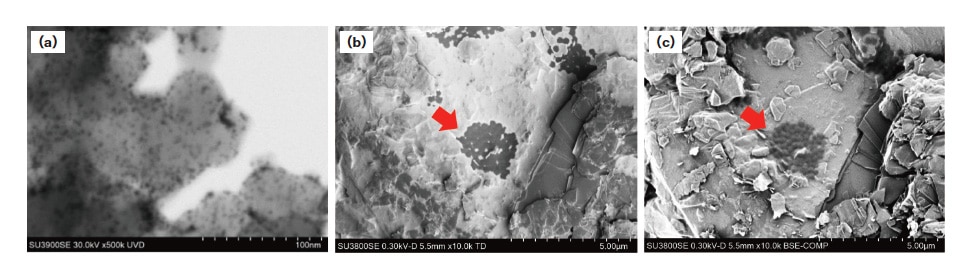 Fig. 2 Examples of SU3800SE/SU3900SE SEM micrographs. (a) STEM bright-field image of fuel-cell catalyst. (b,c) Lithium-ion battery anode material: secondary-electron image captured using in-column secondary-electron detector (b) and backscattered-electron image (c).