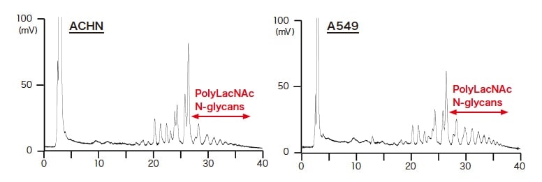 Fig. 4 The differences between oligosaccharides prepared from two types of cancer cells. The glycan patterns are similar, but the concentrations are different.