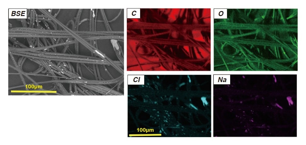 Fig. 3 Strands of a spiderweb sampled the day after a typhoon. Left: SEM (backscattered-electron) image, captured at accelerating voltage of 10 kV. Right: X-ray elemental mapping images.