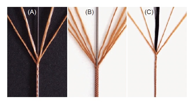 Fig. 5 Fabricated braids of filament bundles12). Each bundle consists of 166 Zylon filaments.