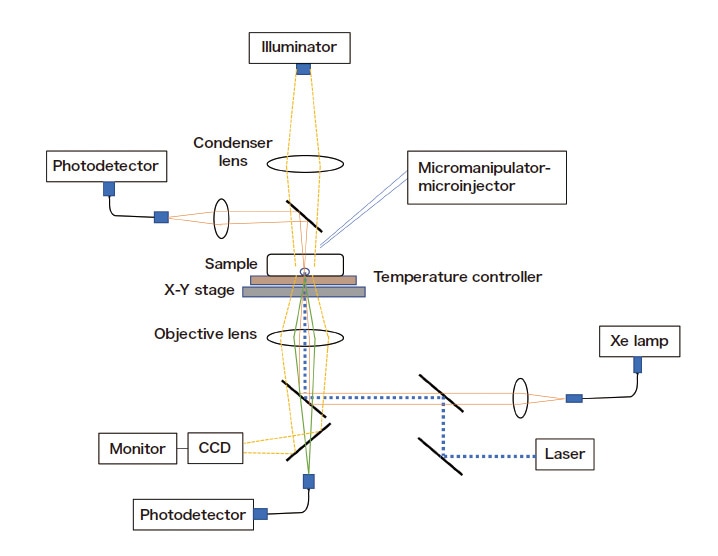 Fig. 1 Schematic diagram of experimental setup for single-particle microspectrophotometry.