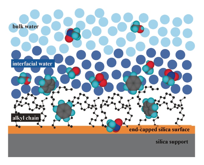 Fig. 1 Schematic illustration of an interface between water and C18-bonded silica, indicating the interfacial water layer and the partitioning behavior of solutes.