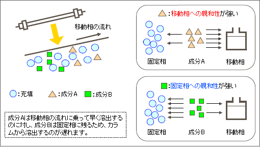 カラム クロマト グラフィー 原理