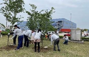 画像：社員有志で土を掘り、桜の木の植樹を実施