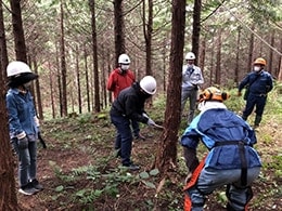 森林管理署職員がヒノキの伐採方法のレクチャーを実施