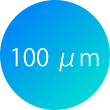 100 μm