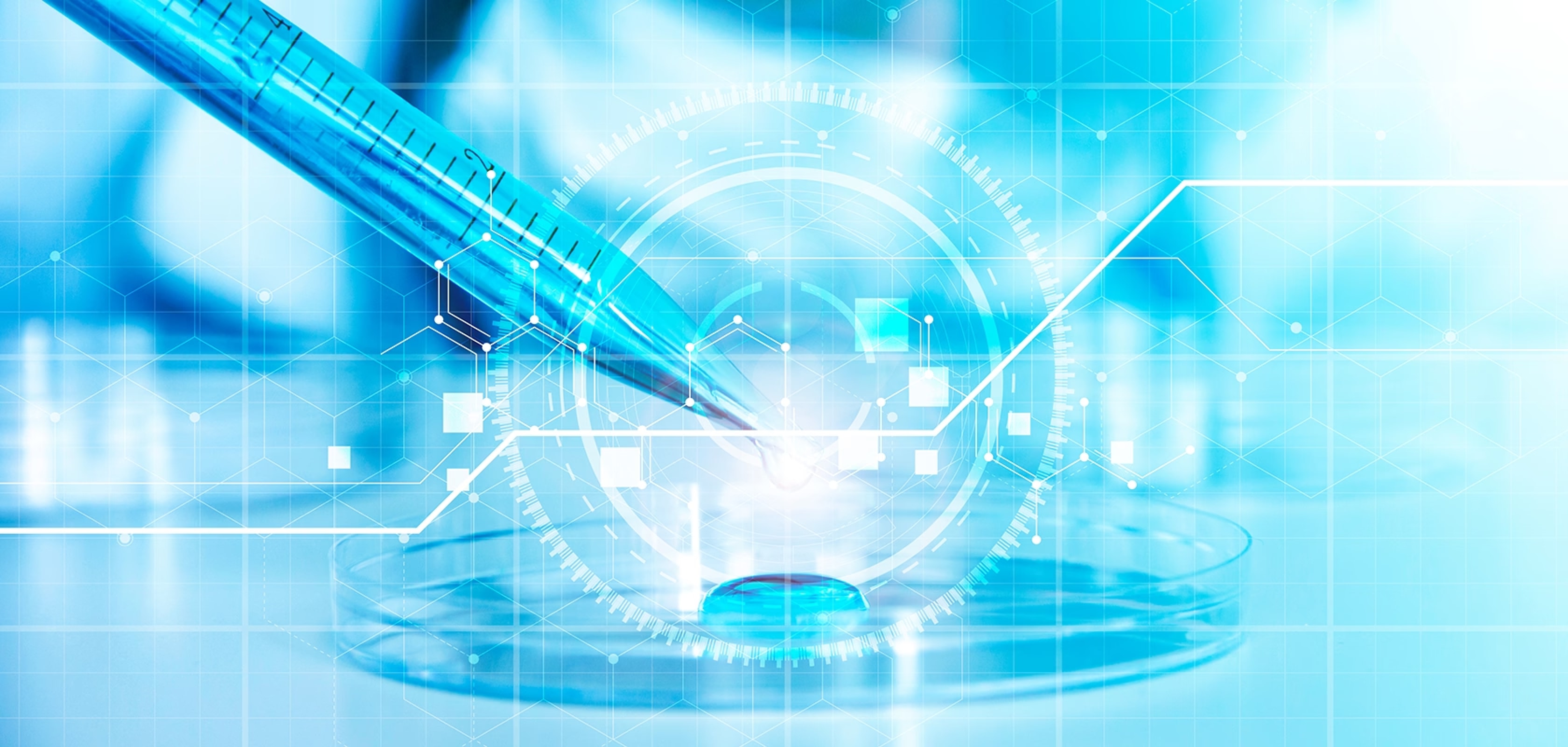 kv.png?t=1764374400090