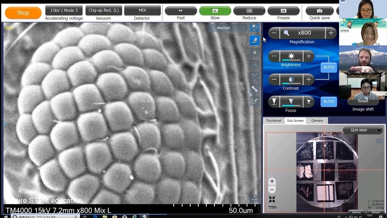 卓上型電子顕微鏡のデモンストレーションで明らかになったアリの複眼の構造