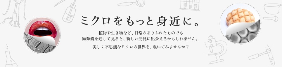 ミクロをもっと身近に。