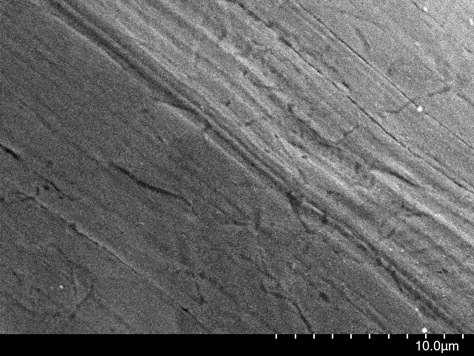 パラジウムめっき表面の電子顕微鏡写真（界面活性剤あり）