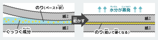 スティックのりで紙（かみ）がつく仕組（しく）みの図解（ずかい）