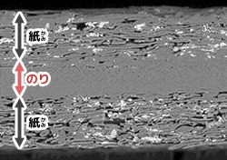 電子（でんし）顕微鏡（けんびきょう）画像（がぞう）