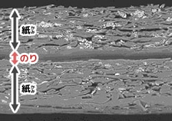 電子（でんし）顕微鏡（けんびきょう）画像（がぞう）