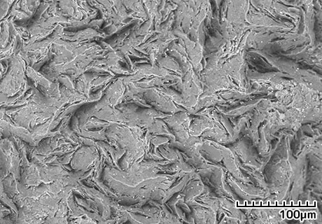 6Bの鉛筆（えんぴつ）の芯（しん）の断面（だんめん）