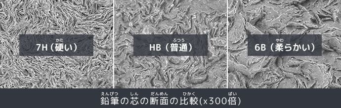 鉛筆（えんぴつ）の芯（しん）の断面（だんめん）の比較（ひかく）