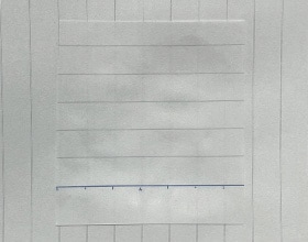 液体（えきたい）のりで紙（かみ）を貼（は）りつけた様子（ようす）