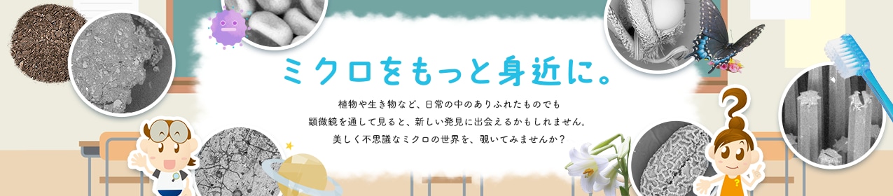 ミクロをもっと身近に。 植物や生き物など、日常の中にありふれたものでも顕微鏡を通してみると、新しい発見に出会えるかもしれません。美しく不思議なミクロの世界を、覗いてみませんか？