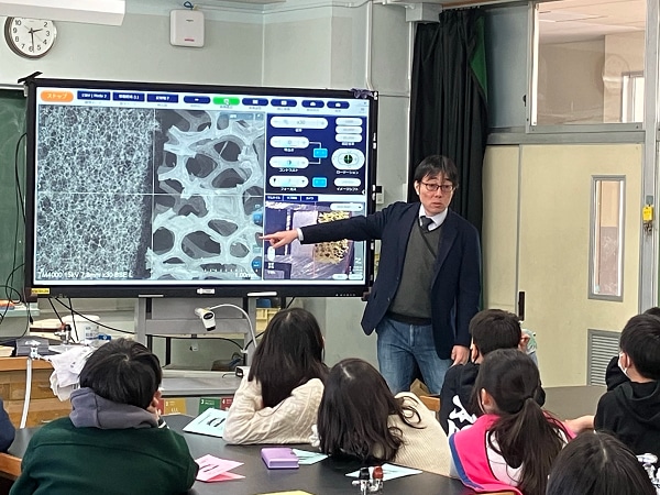 Observing the structure of a sponge