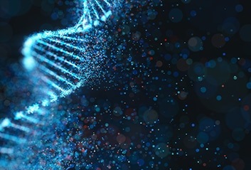 DNAフラグメント解析ソフトウェア GeneMarker HID