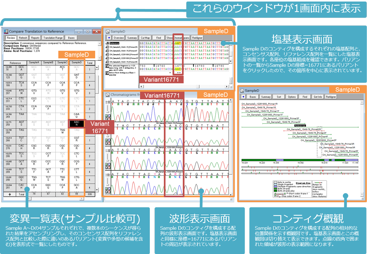 Dna配列解析ソフトウェア Sequencher 日立ハイテク