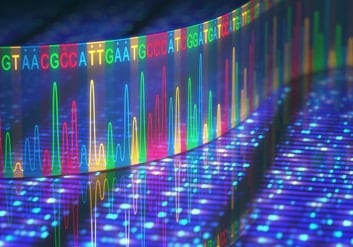 DNA配列解析ソフトウェア SEQUENCHER