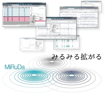 反応過程近似解析ツール MiRuDa