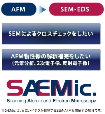 AFMマーキング機能によるAFMと同一視野のSEM－EDX評価（追加オプション）