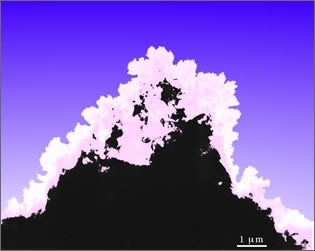 The Coral of Micro Island (W-Si-O particles on a Si single crystal)