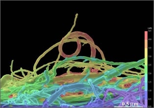 nano scale roller coaster